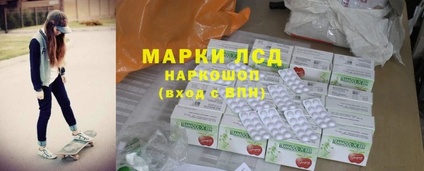apvp Алзамай