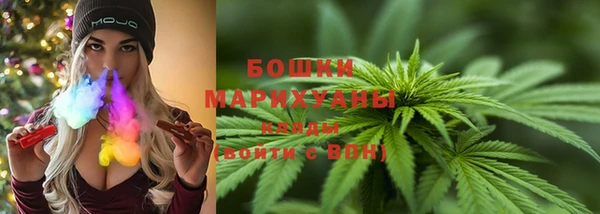 ГАЛЛЮЦИНОГЕННЫЕ ГРИБЫ Абаза