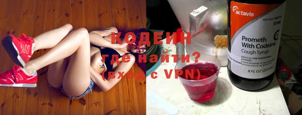 apvp Алзамай