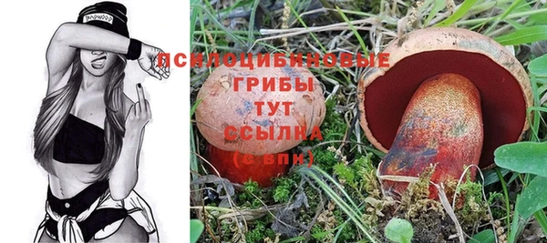 мяу мяу мука Абдулино