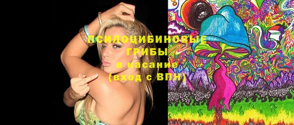 ешки Абинск