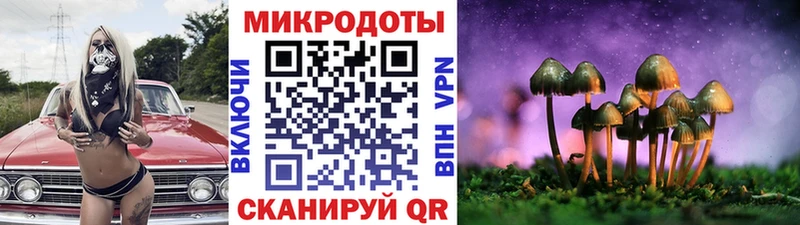 купить   Нальчик  Псилоцибиновые грибы мухоморы 