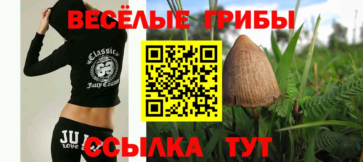 купить закладку  Галлюциногенные грибы MAGIC MUSHROOMS  Нальчик  Вход с VPN  Галлюциногенные грибы Psilocybine cubensis 
